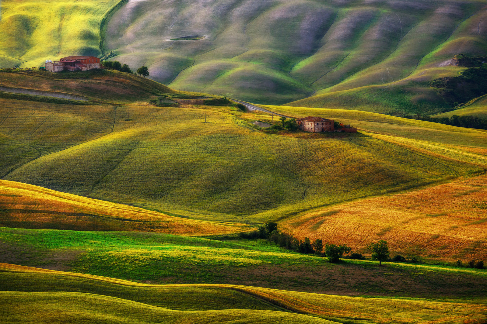 veld-, huis, Italië, heuvels, Toscane, schuren