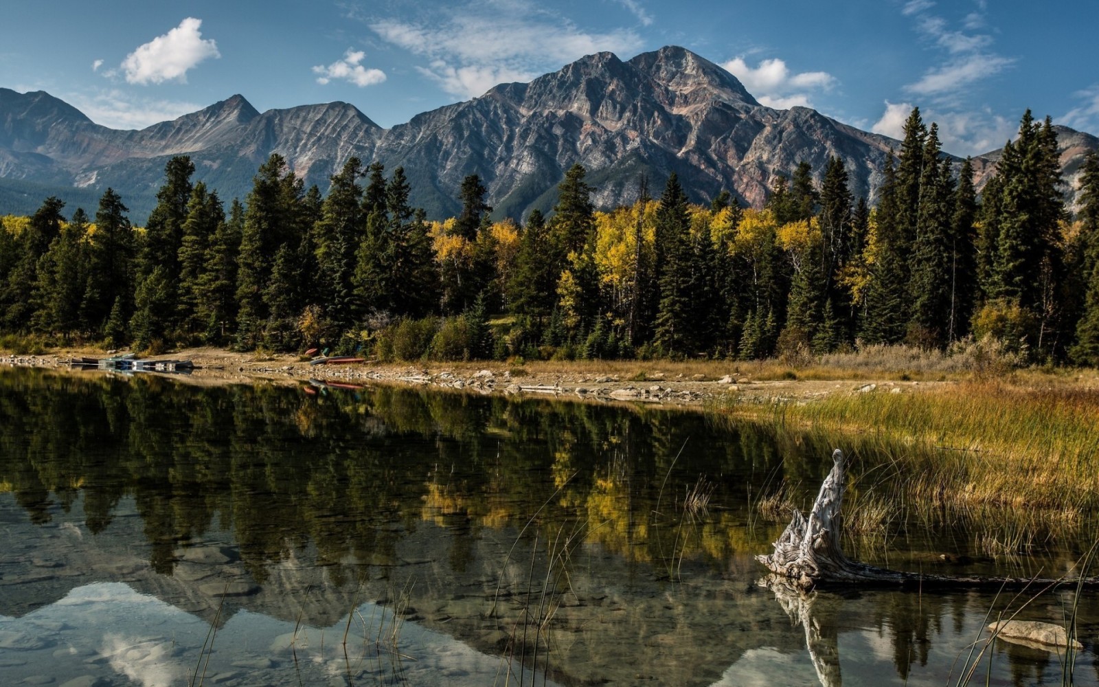 naturaleza, paisaje, Canadá, Albert, Alberta