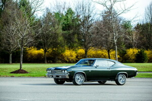 1969, Chevelle, COPO