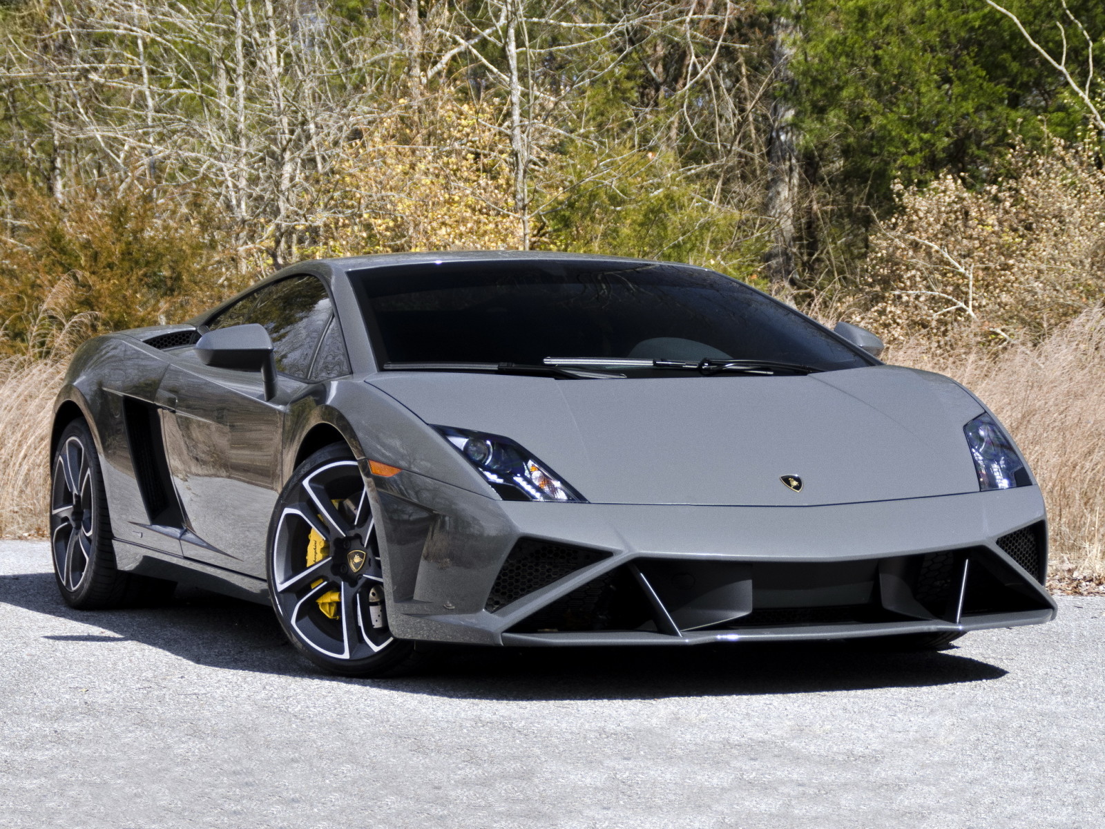 Lamborghini, Gallardo, 2013, Specyfikacja amerykańska, LP 560-4