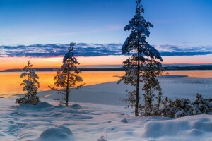 jezero, sníh, západ slunce, Švédsko, stromy, Värmland, Varmlandská župa, zimní