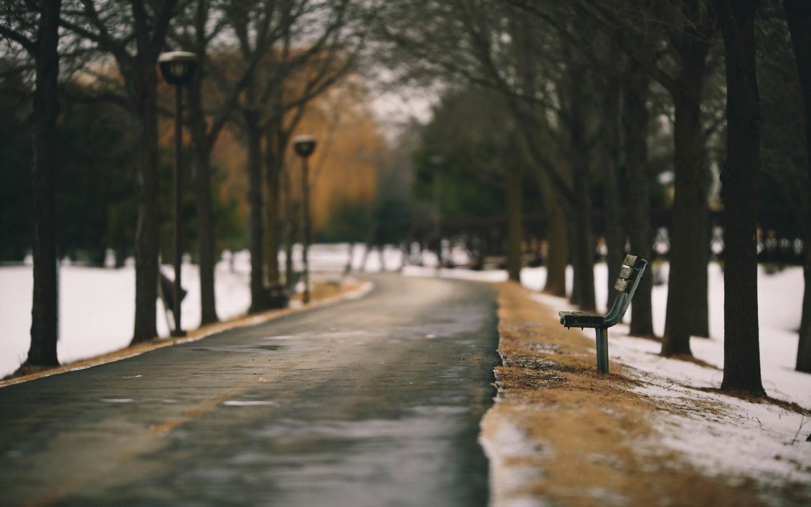 Parc, orașul, primăvară, bancă