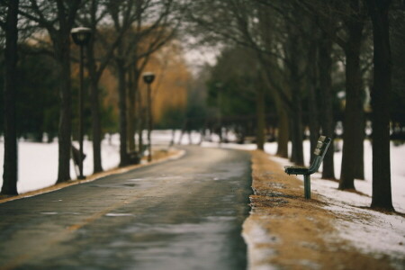 bench, Park, spring, the city