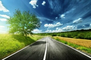 césped, la carretera, el cielo, árbol