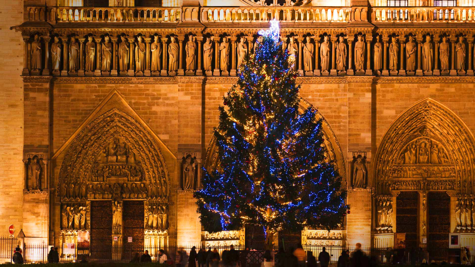 ağaç, Noel, Fransa, Paris, Katedral