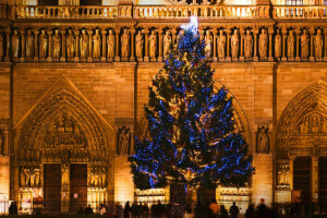 Cathedral, Christmas, France, Paris, tree