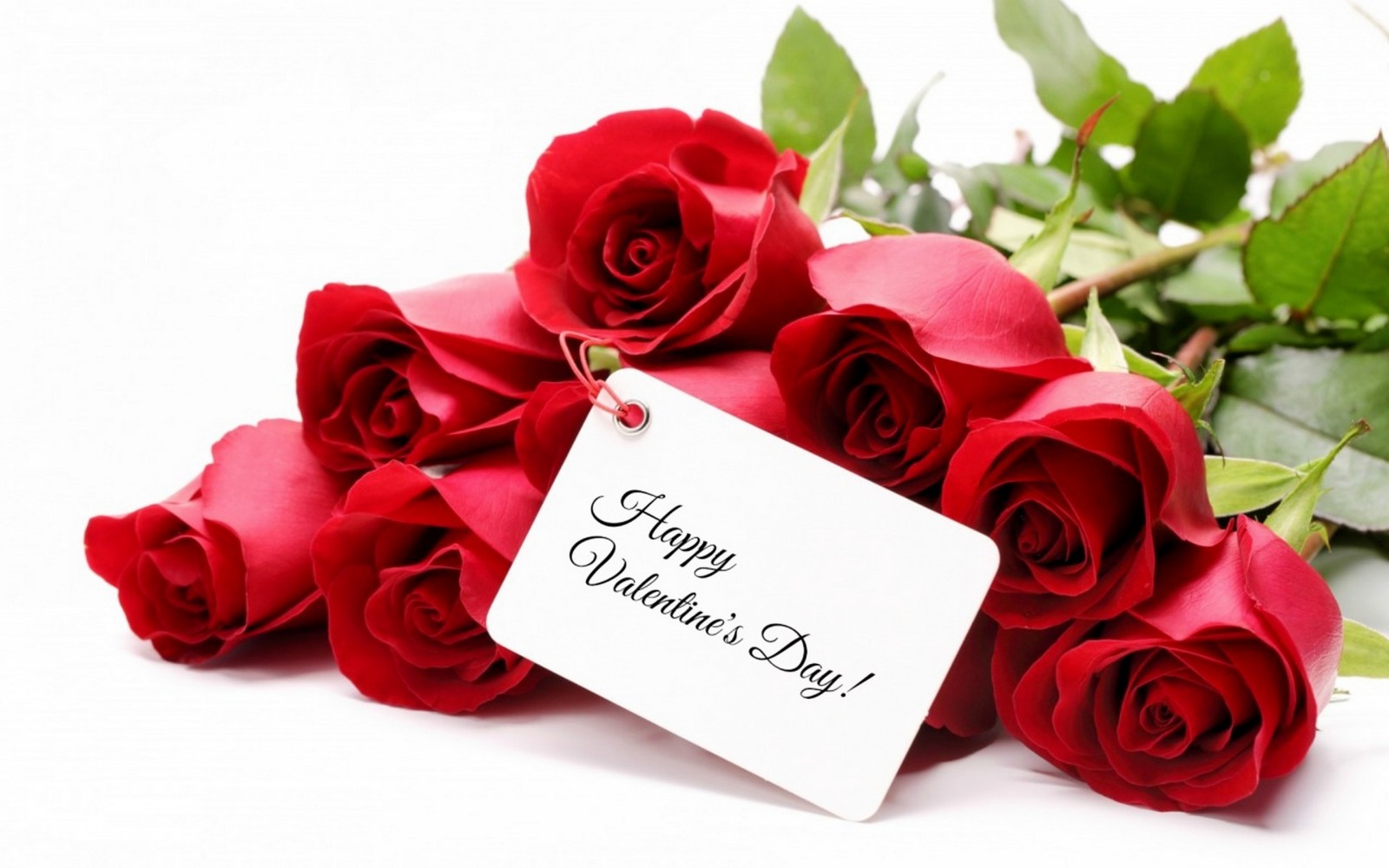 red, roses, flowers, bouquet, valentine`s day