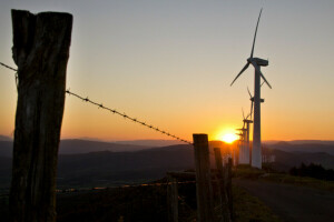 light, morning, windmills