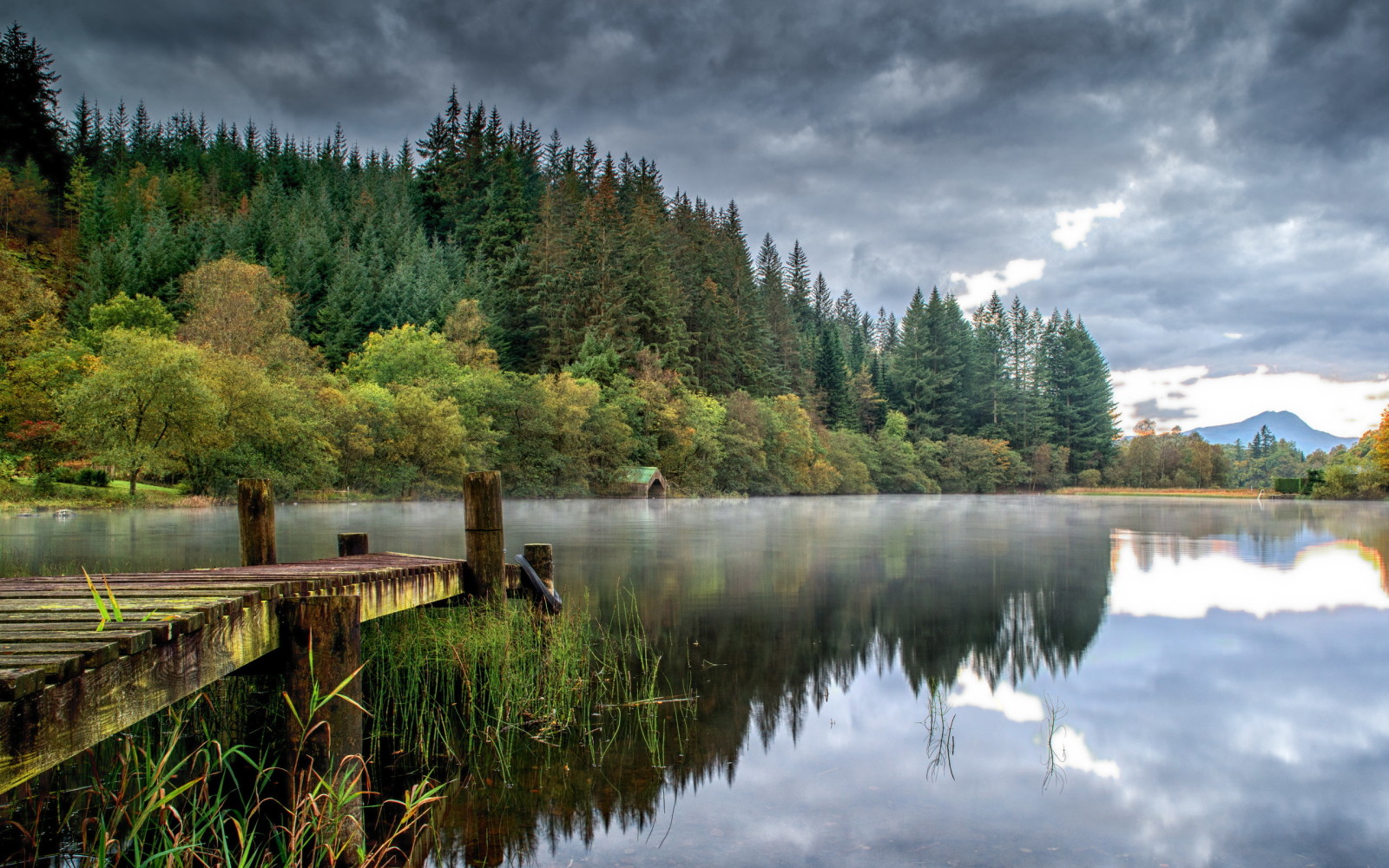 forest, lake, reflection, clouds, the bridge