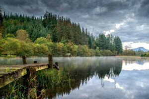 nori, pădure, lac, reflecţie, podul