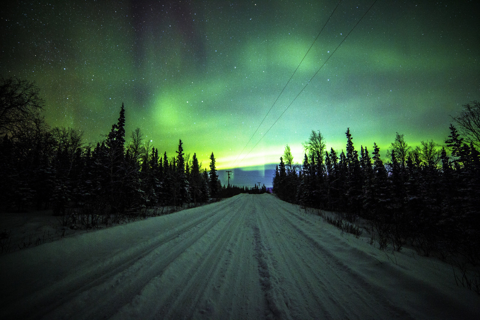 route, des arbres, pin, Northern Lights, les lignes électriques