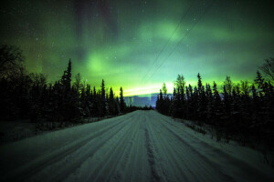 Aurora boreal, pinho, linhas de energia, estrada, árvores