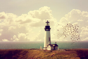 una bandada de pájaros, nubes, costa, horizonte, casa, Faro, mar, el cielo