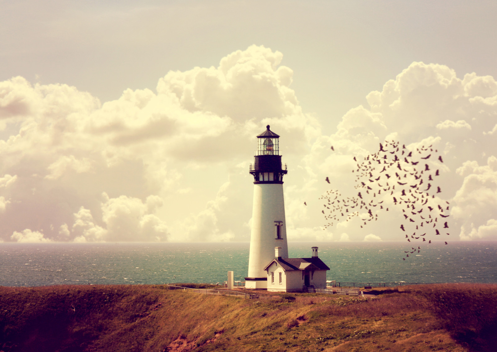 the sky, house, sea, clouds, Lighthouse, coast, horizon, a flock of birds