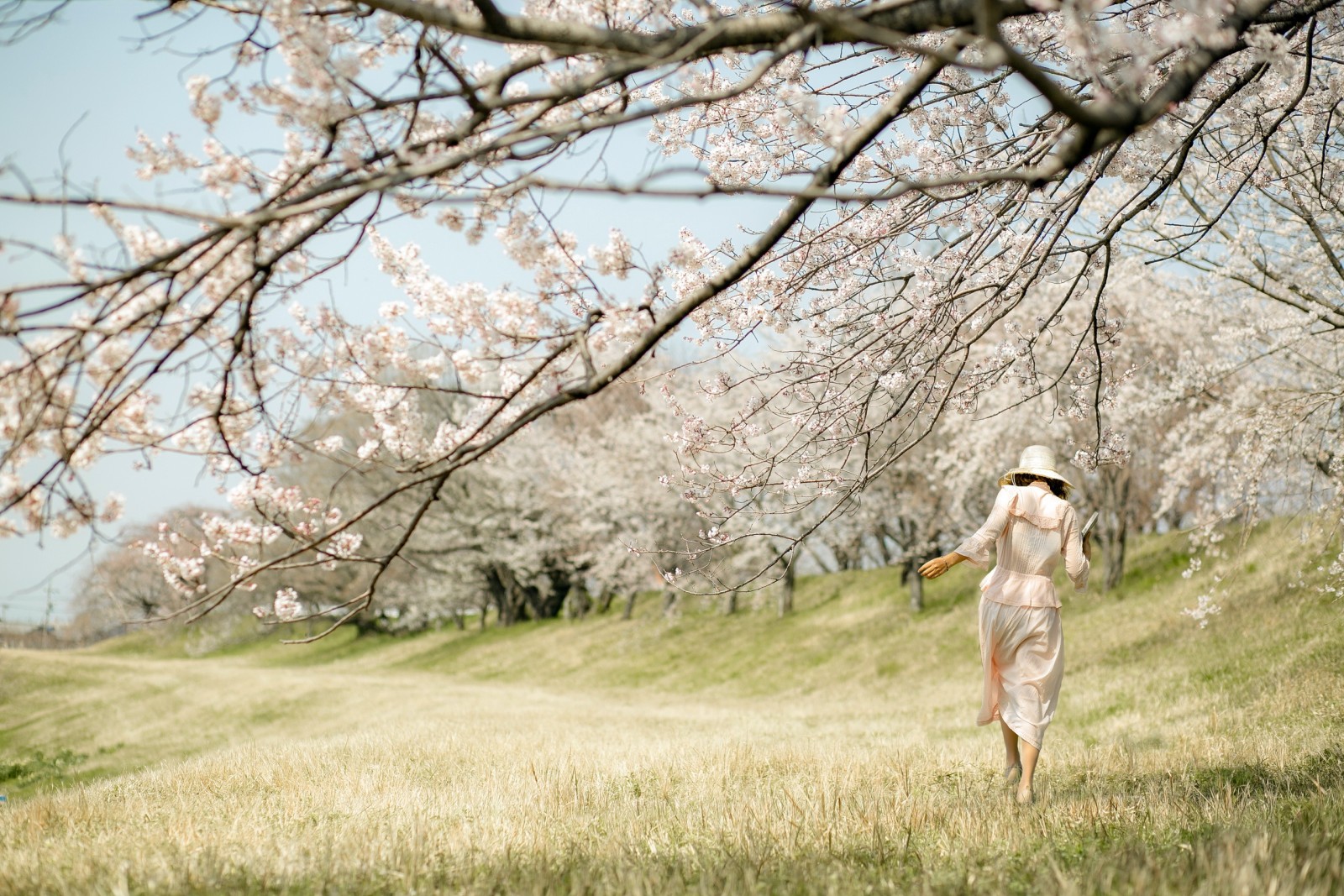 nature, girl, spring