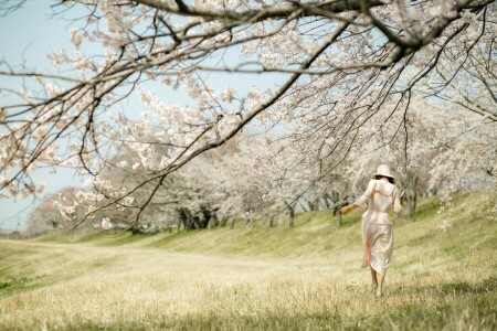 girl, nature, spring