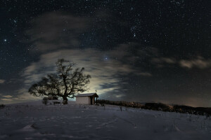 Kapelle, Feld, Nacht, Schnee, Sterne, der Himmel, Baum, Winter