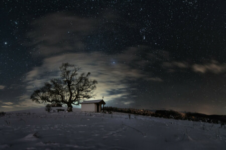 capela, campo, noite, neve, estrelas, o céu, árvore, inverno