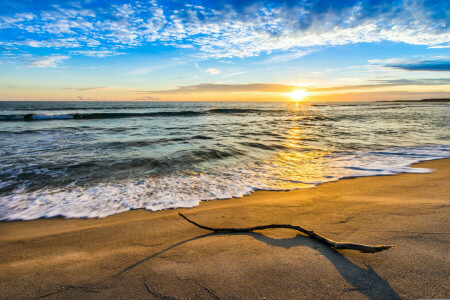 branch, clouds, landscape, sand, sea, the sky, wave