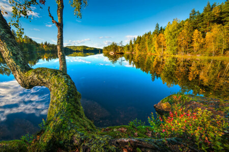 autumn, Buskerud, forest, free, Hurum, lake, Norway, reflection