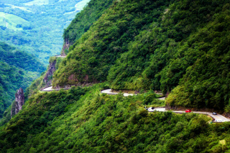 Brasil, bosque, montañas, la carretera, rocas, Serra do Rio do Rastro