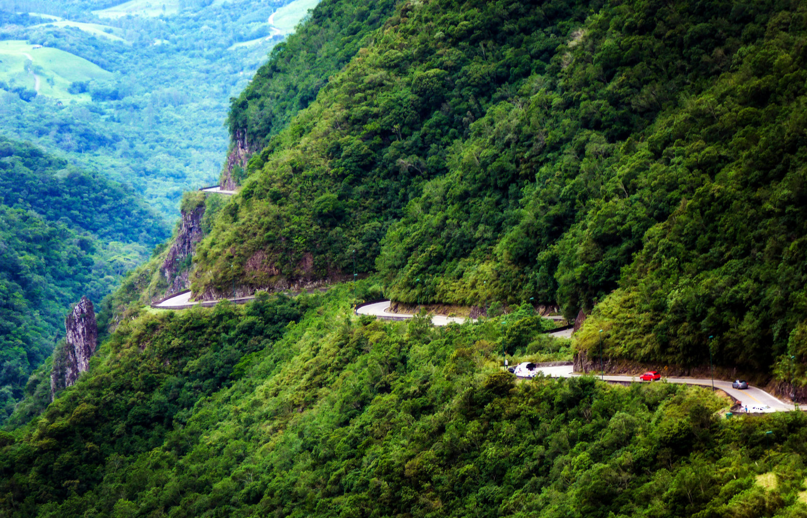 Skov, vej, bjerge, klipper, Brasilien, Serra do Rio do Rastro