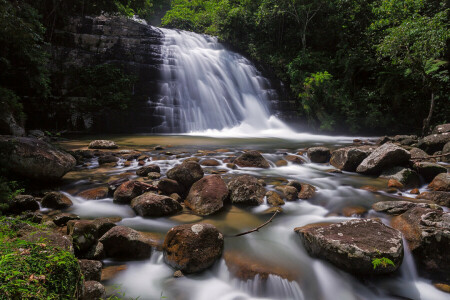 bosque, río, rock, piedras, corriente, arboles, cascada