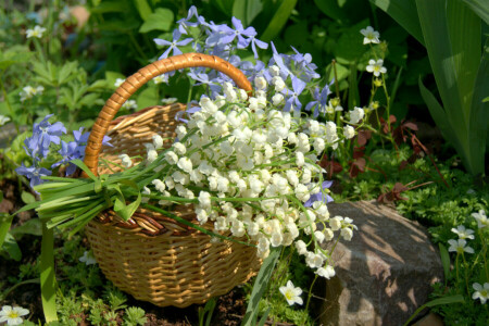 basket, lilies of the valley, periwinkle