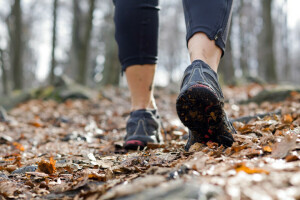 l'automne, marche en plein air, fonctionnement, chaussures de course, formation