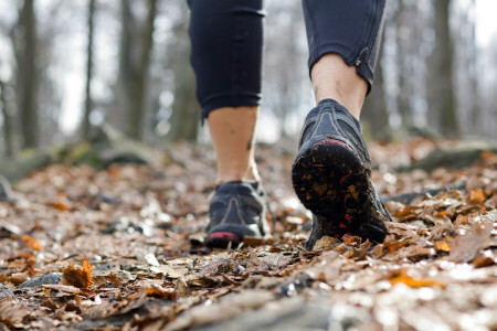 autunno, passeggiate all'aperto, in esecuzione, scarpe da corsa, formazione