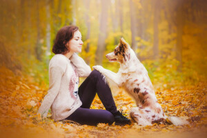 autumn, dog, girl