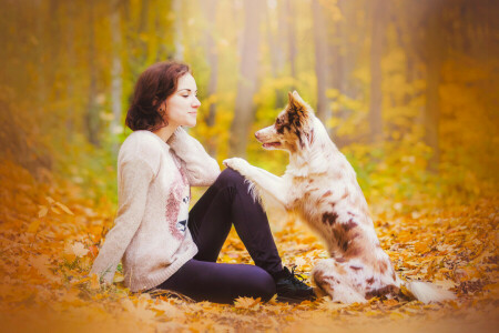 l'automne, chien, fille