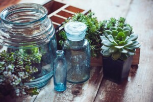 greens, jars, pots