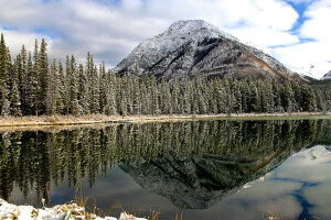 pădure, lac, munţi, natură, reflecţie, zăpadă, topuri, copaci