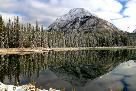 forest, lake, mountains, nature, reflection, snow, tops, trees