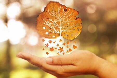 Herbst, Hand, Blatt