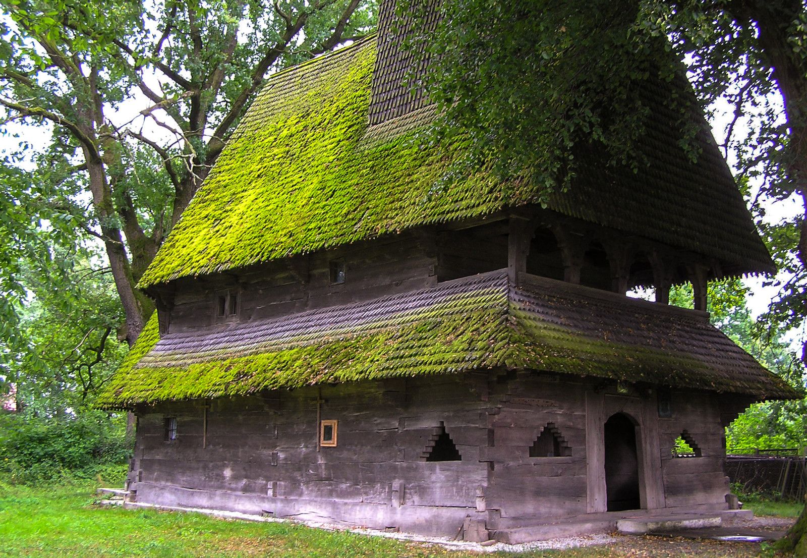 huis, bomen, mos, Oekraïne, Transcarpathia, Yasinya