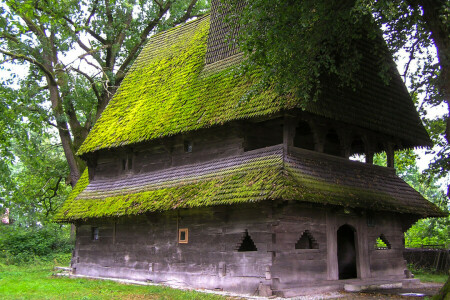 maison, mousse, Transcarpathie, des arbres, Ukraine, Yasinya