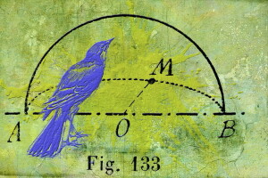 achtergrond, vogel, structuur