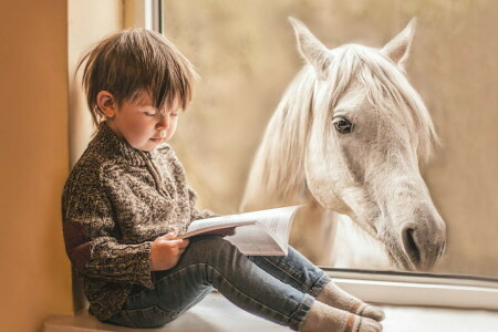 book, boy, horse, window