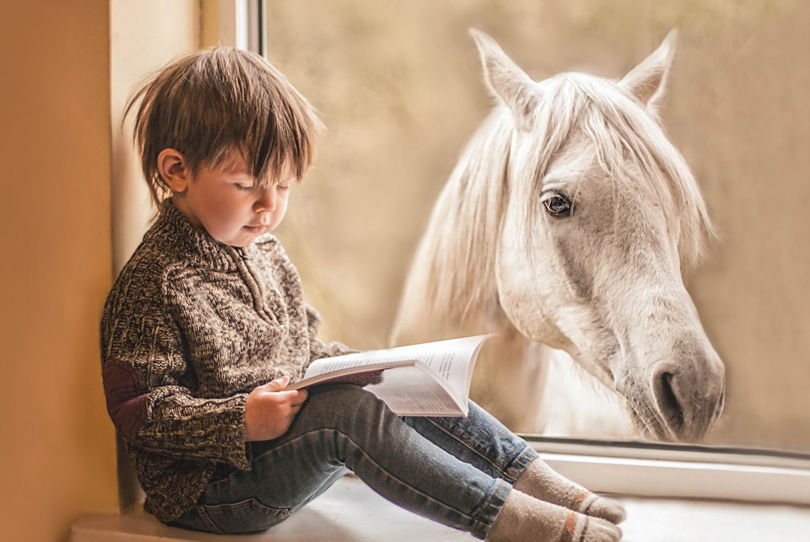 cheval, livre, fenêtre, garçon