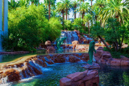 Cascade, conception, légumes verts, Las Vegas, palmiers, parc, des pierres, les buissons