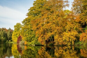 syksy, Englanti, järvi, heijastus, tallennettu, Stourhead-puutarha, Puut, Wiltshire