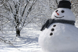 Natale, neve, pupazzo di neve, inverno