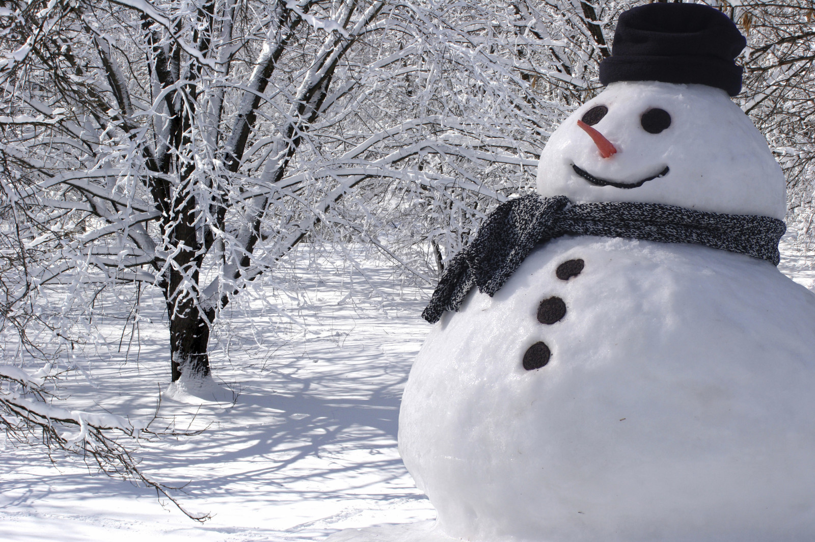 neige, Noël, hiver, bonhomme de neige