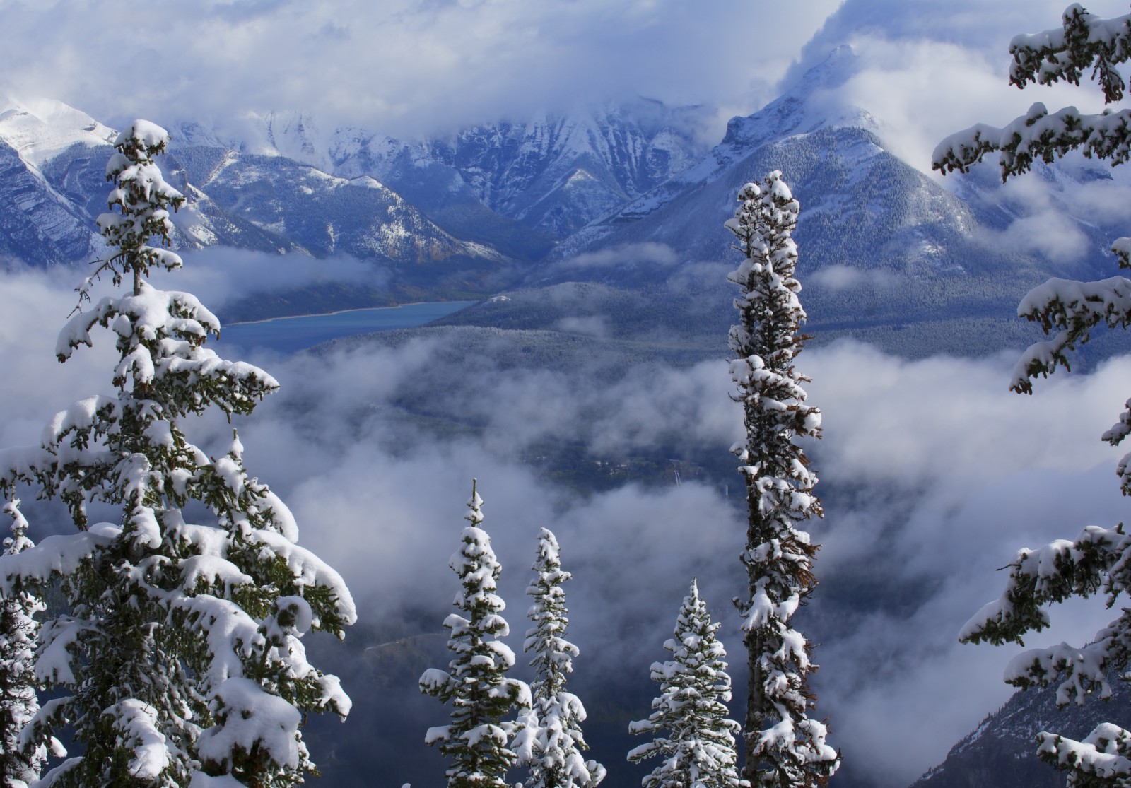 neve, lago, inverno, árvores, Canadá, Albert, Alberta, nuvens