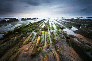 Barrika, kust, uittreksel, mos, natuur, Spanje, stenen, water