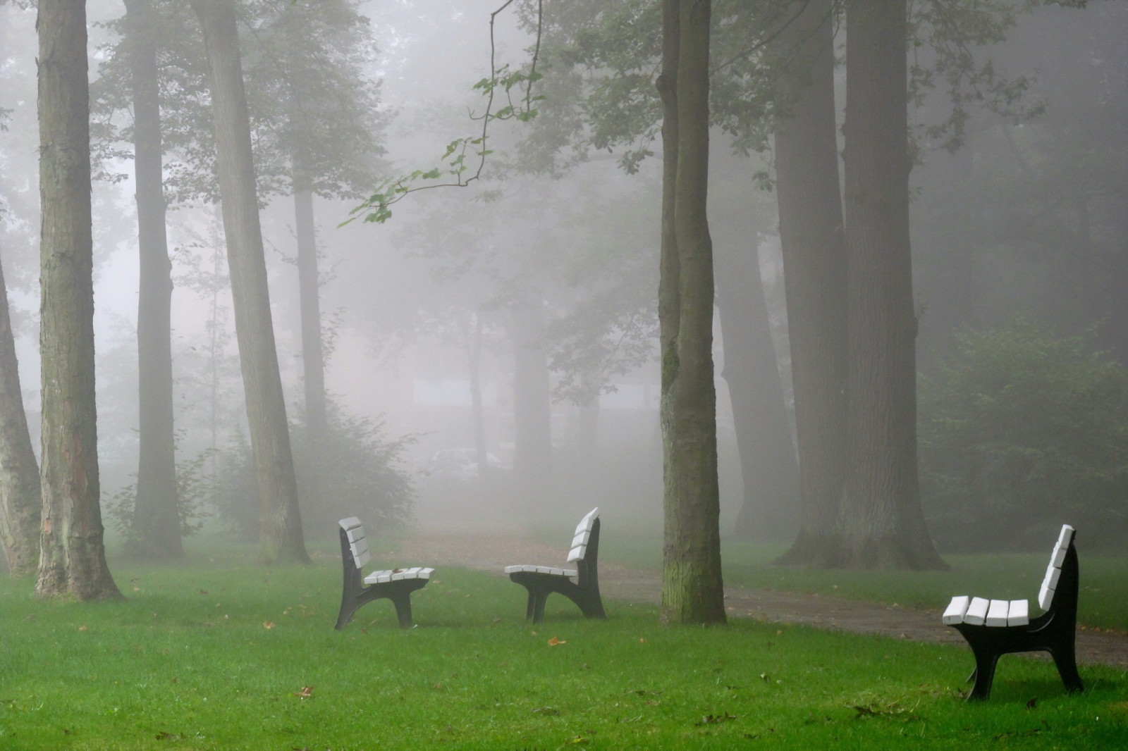 Park, miasto, mgła, ławka