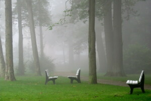 banc, brouillard, parc, la ville