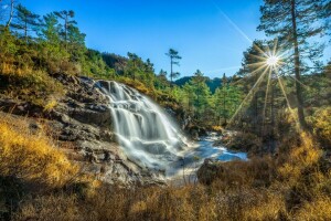 floresta, Kvitingen, Noruega, Rogaland, o sol, cascata